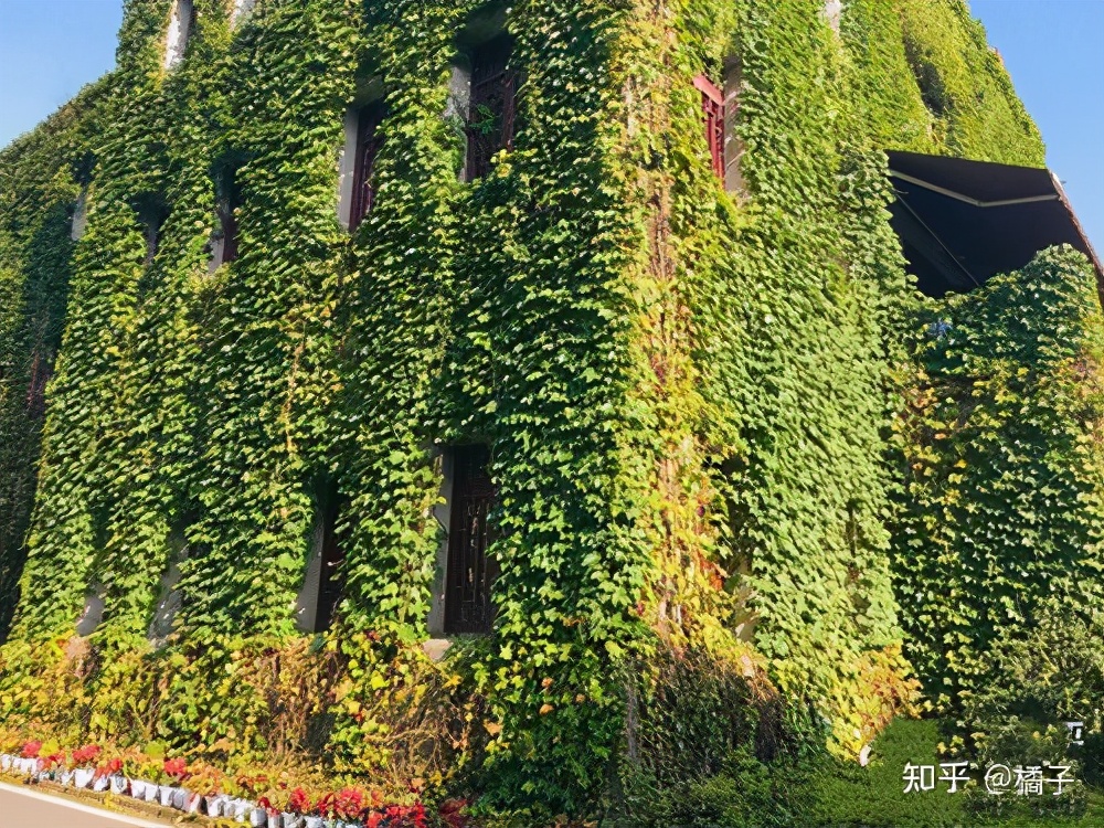 no1.纯干货分享——西南大学应用心理学专硕347考研