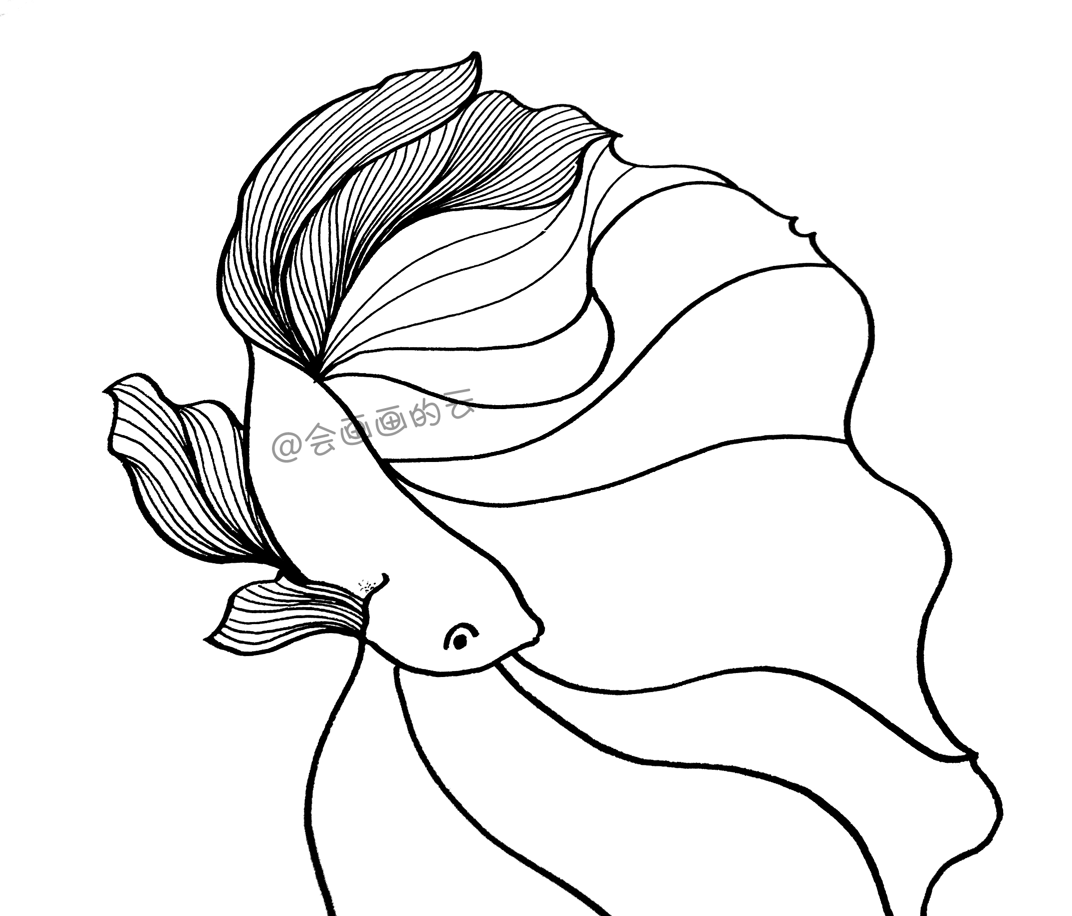 3款简笔画金鱼，零基础也可以画的线描画