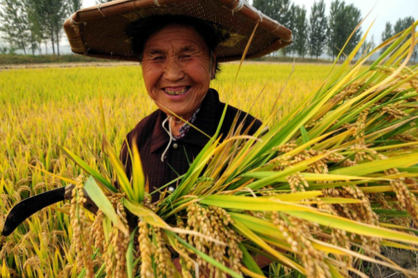 江西官宣！农民可免费上大学，只需满足4个条件，已经开始报名啦