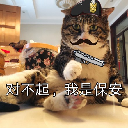 猫咪表情包：对不起，我是保安