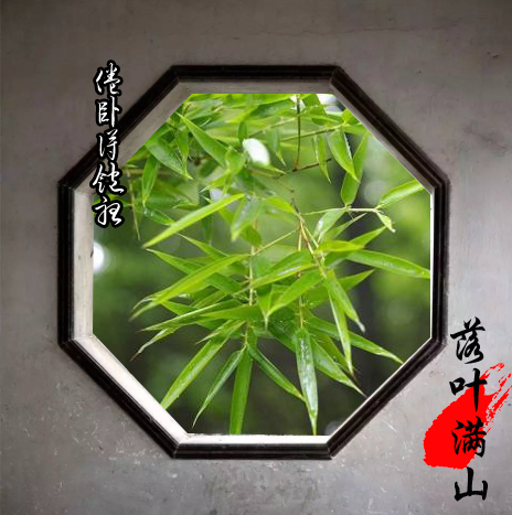 雨夜听雨：西窗夜听巴山雨，竹林涛声入梦来