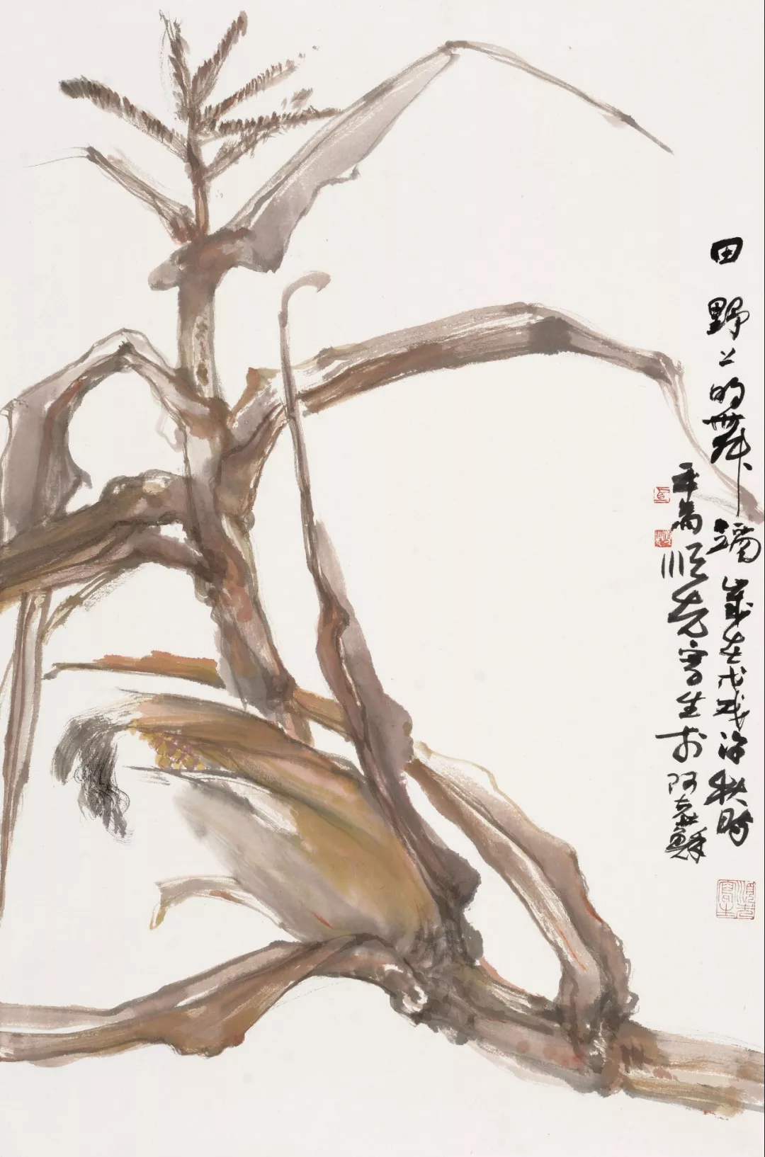 田野畅想曲 | 马顺先的玉米写生