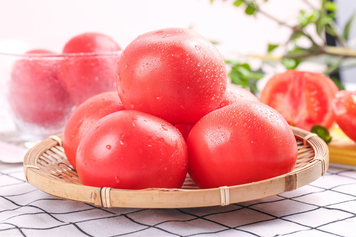 “神奇的菜中之果”——西红柿