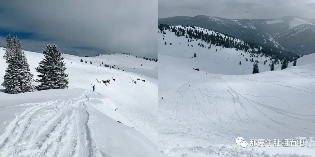 当大雪飞过那个小镇,我哪儿都不去 | 当我滑雪时我在想什么