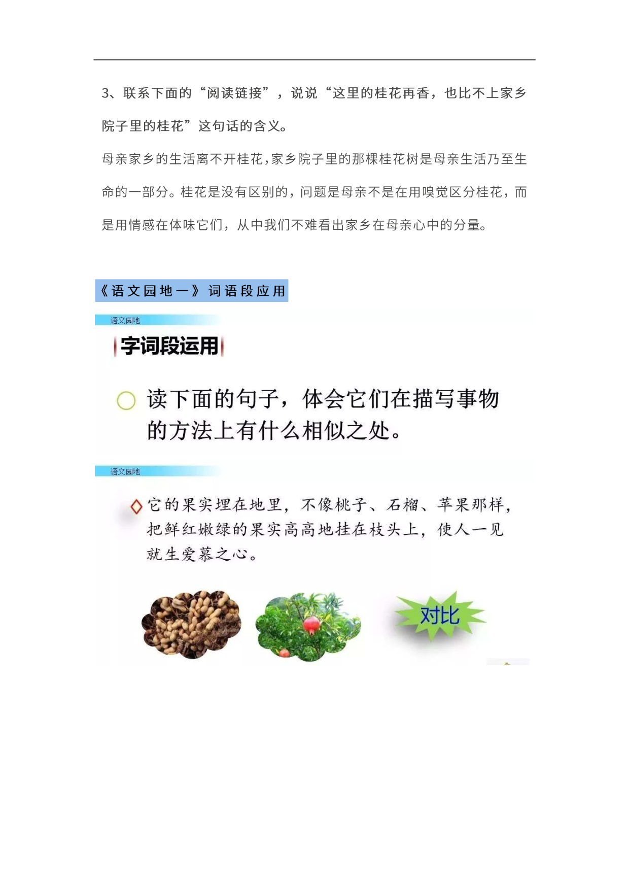 你的孩子会预习吗？部编版语文5年级上册教材课后题参考答案解析