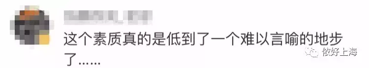 地铁鸡爪女,地铁鸡爪女事件评价