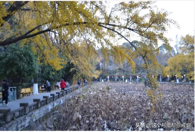 心如荷花天地宽，人生一笑岁月长；医海无涯必励钻，博采勤收受益