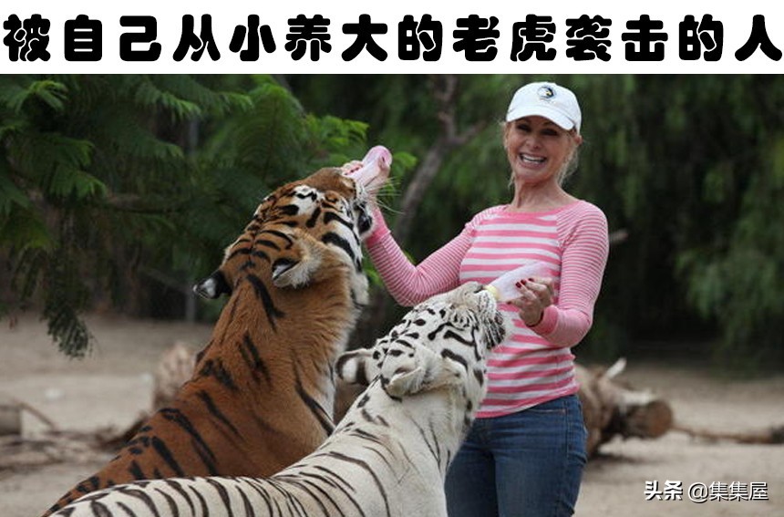 人类在驯化动物的时候，所出现的7种错误