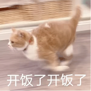 表情包：小姑娘来玩鸭