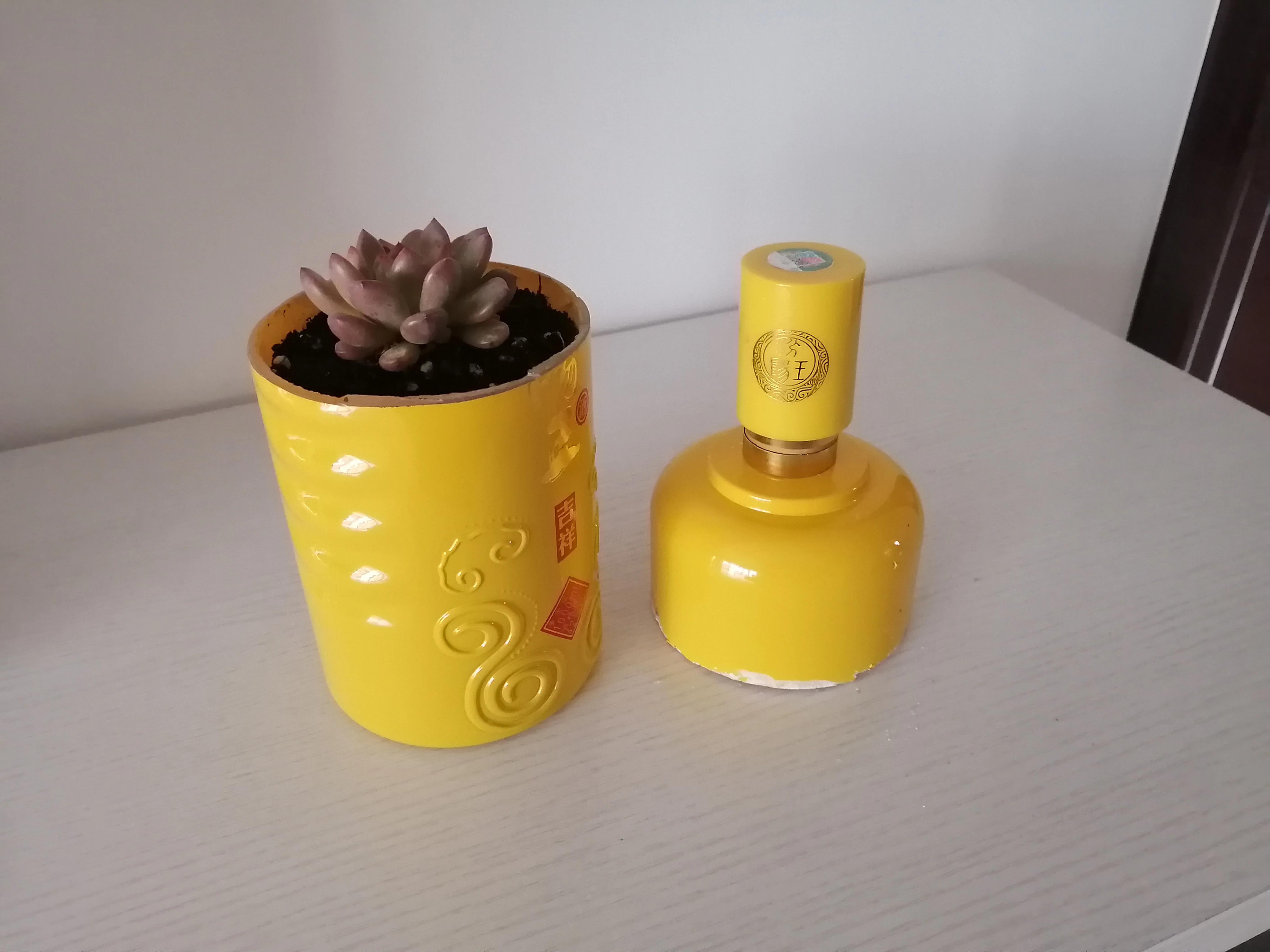 把这些酒瓶收集起来,切割做成各式花瓶,既美观又新颖还省钱