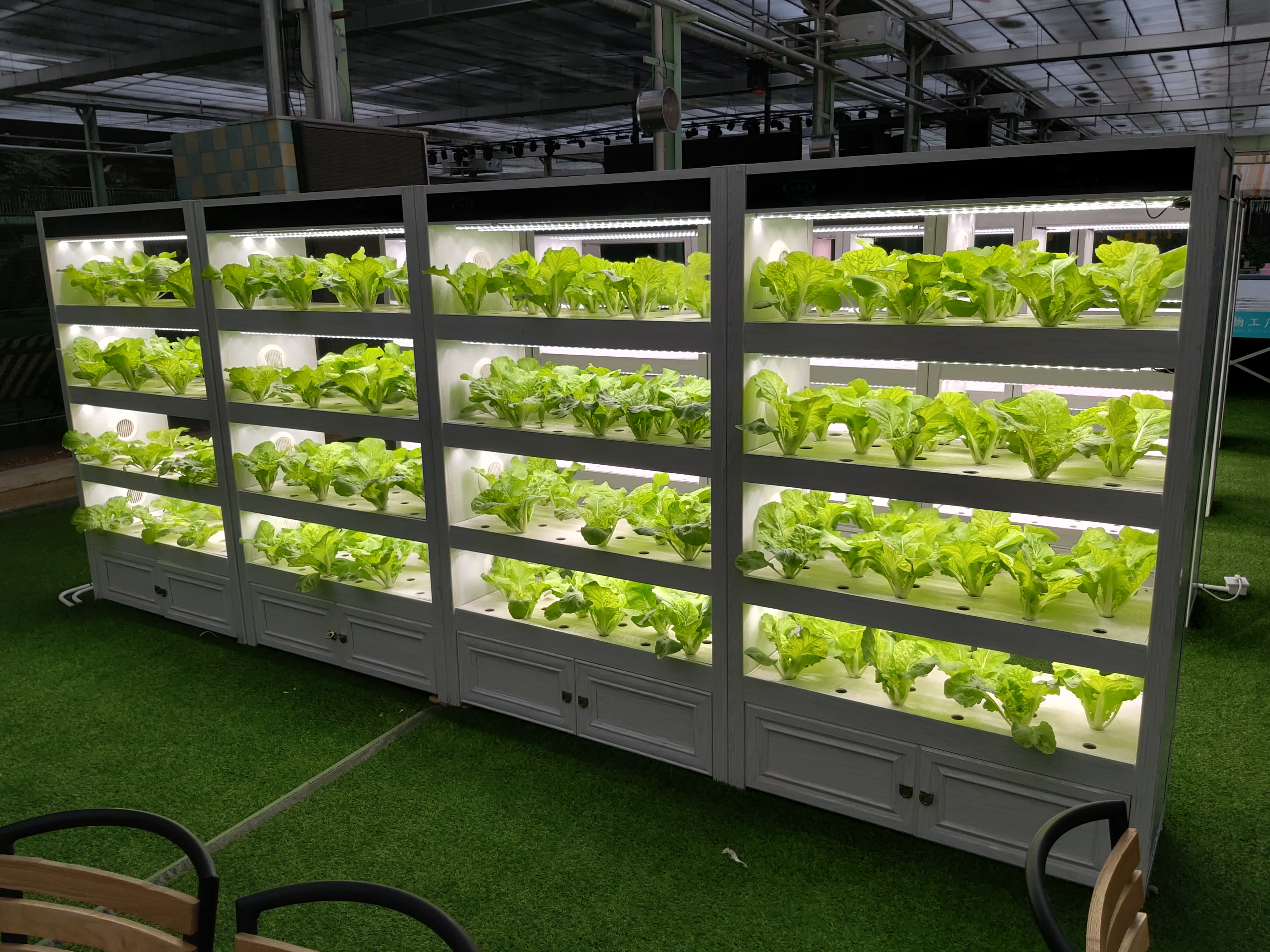 植物灯是根据植物生长的自然规律,依据植物利用太阳光进行光合作用的