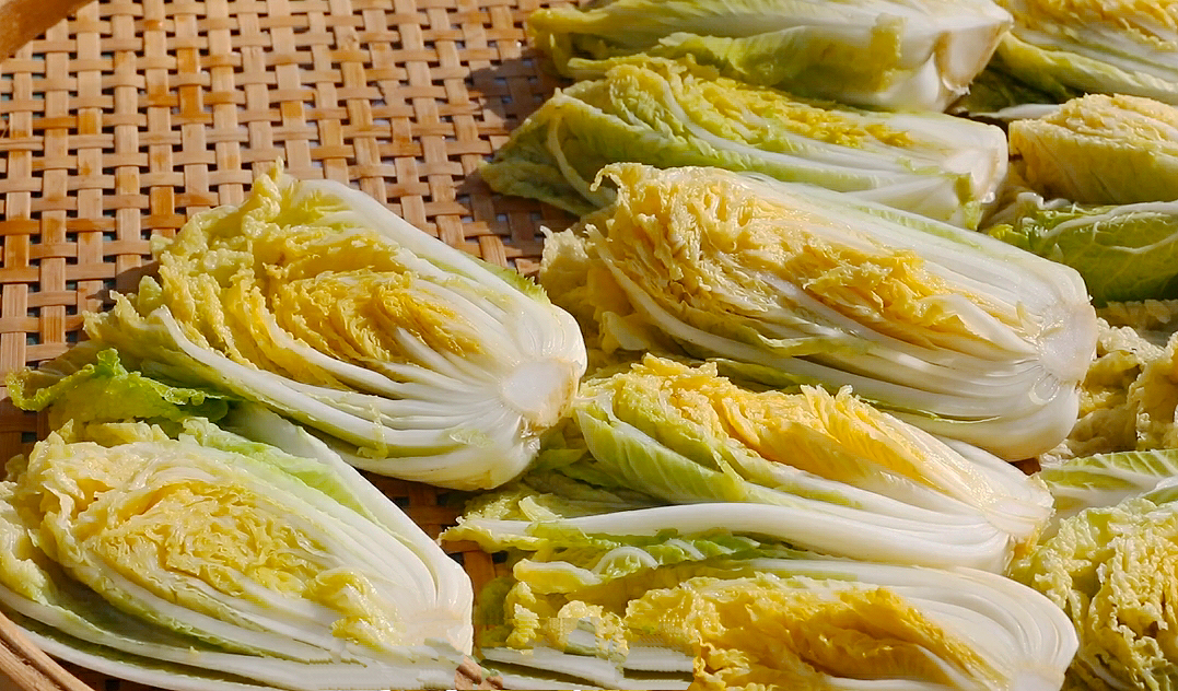 不管腌什么酸菜，牢记这“3个技巧”，酸菜酸脆爽口，放半年不坏