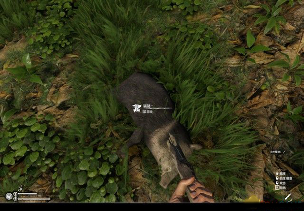 绿色地狱steam中文版