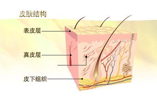 毛孔粗大可以根治吗？收缩毛孔的治疗真相和6个治疗误区要知道