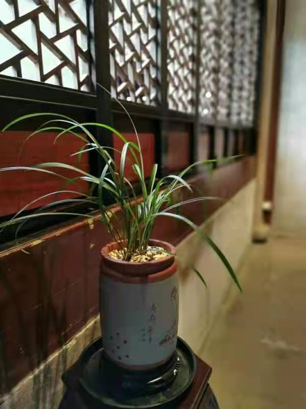 忆秦娥·秋游天一阁