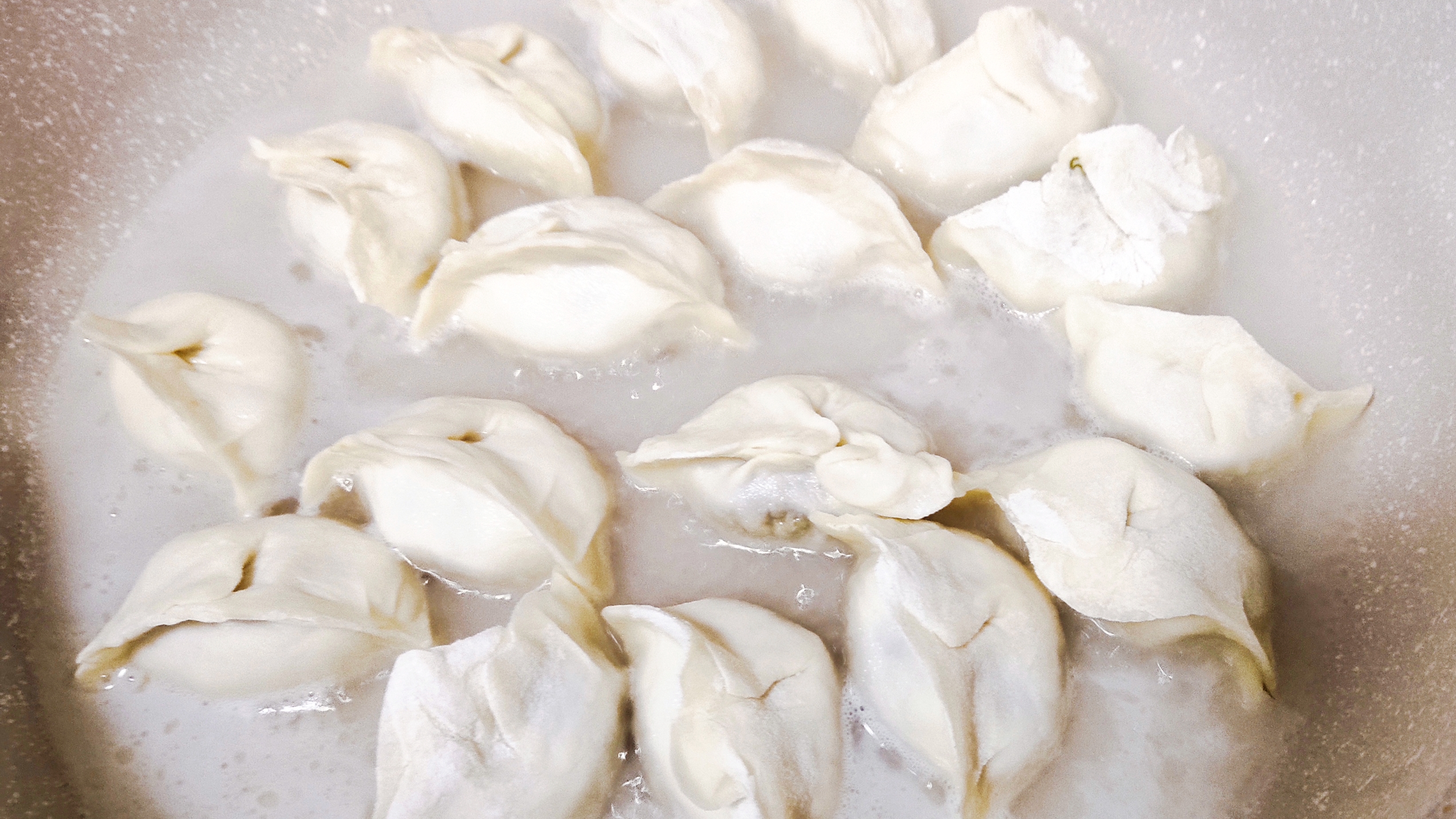 冬天茴香是个宝，和猪肉包成饺子，记住2放1不放，鲜香味美真好吃