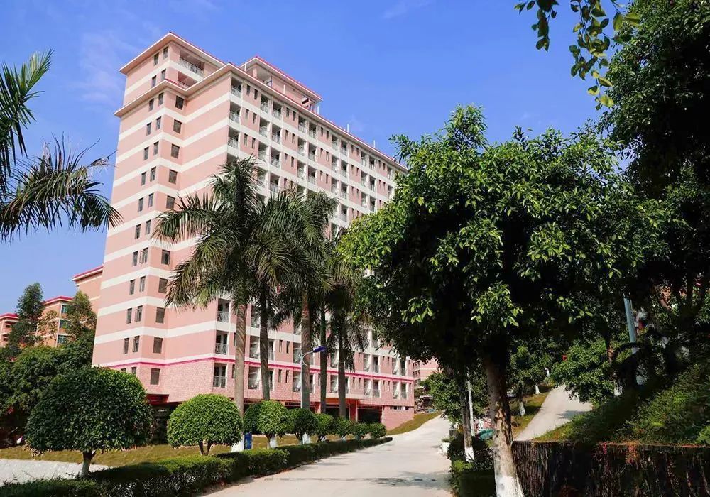 高职高考必看｜广州东华职业学院