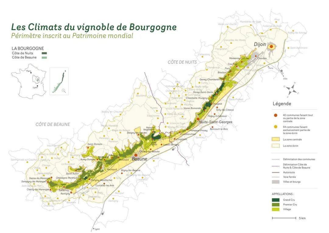 独家｜罗曼尼康帝庄主：葡萄酒变成奢侈品是很危险的事情