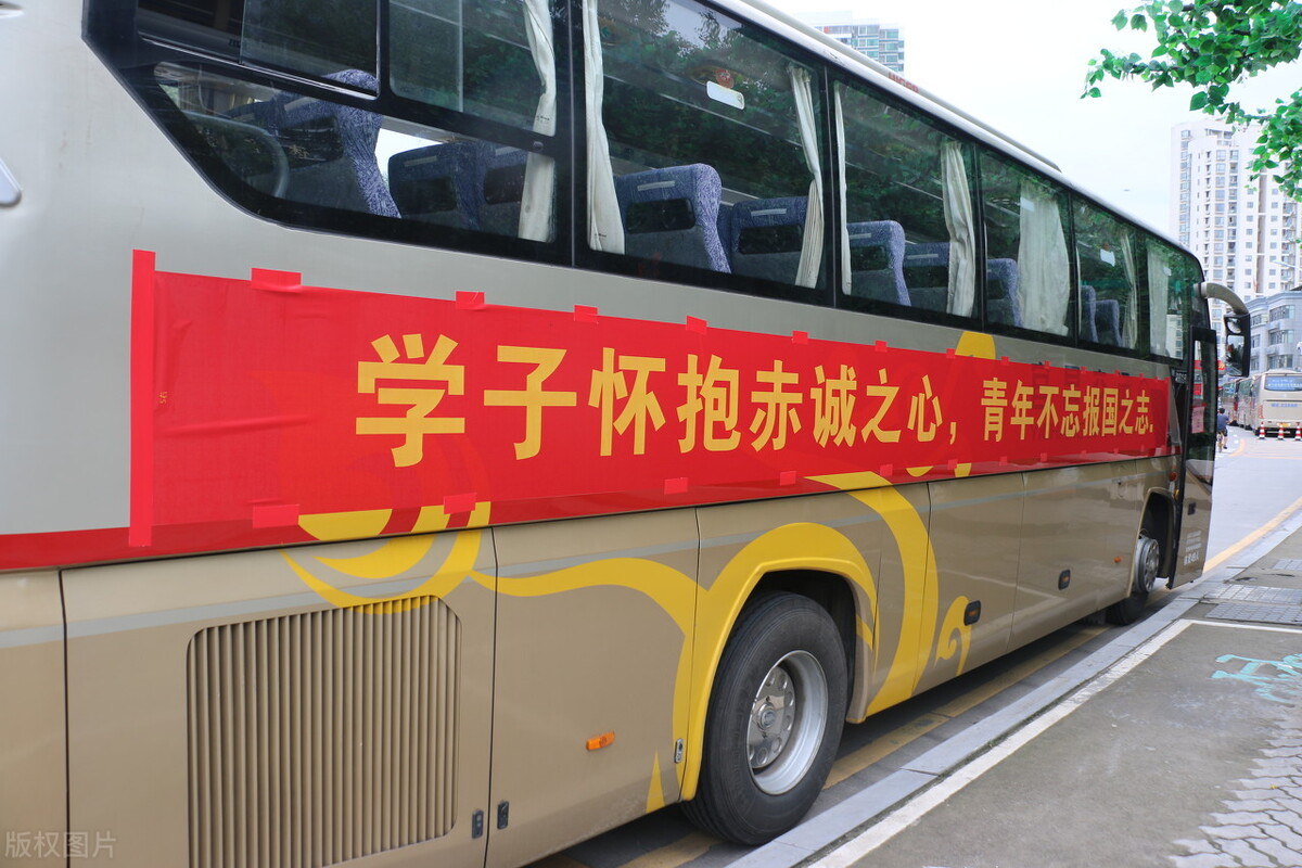 山东2021年高校录取宏观数据，录取情况分析