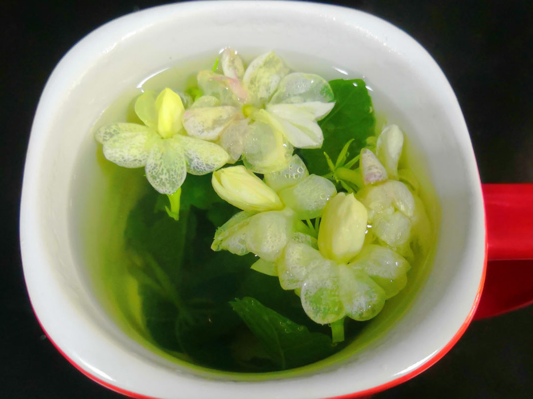 黑珍珠藍莓,黑珍珠藍莓品種介紹