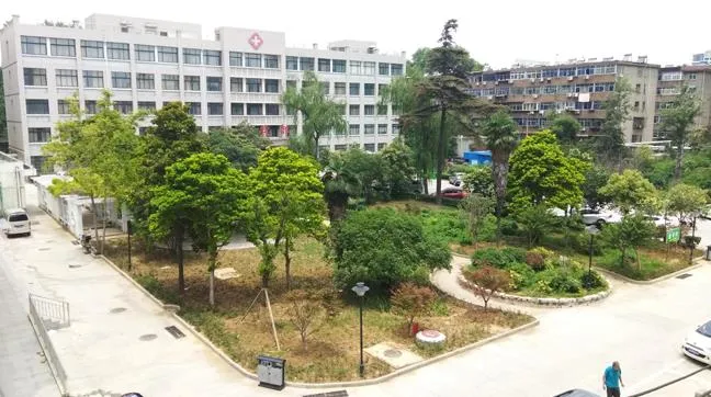 [河南] 洛阳市第七人民医院，2020年招聘护理、医师、药技等41人