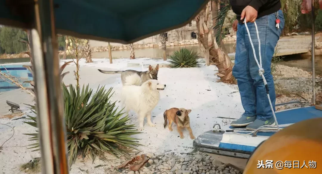 校园可以同时开拍哈利波特和还珠格格，中国最神奇的大学在哪里？