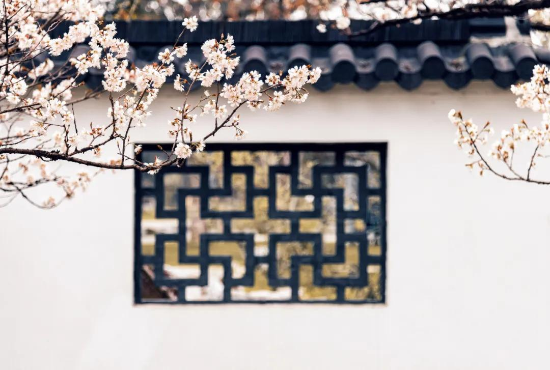 3月最值得去的绝美旅行地,是时候安排一下自己的旅行清单啦