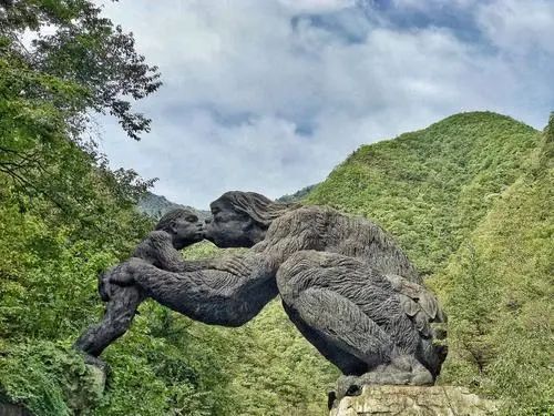 神农架民间传说怪物棺材兽真的存在吗(神农架传说中有种“棺材兽”，专家说：它的真身有三种可能)