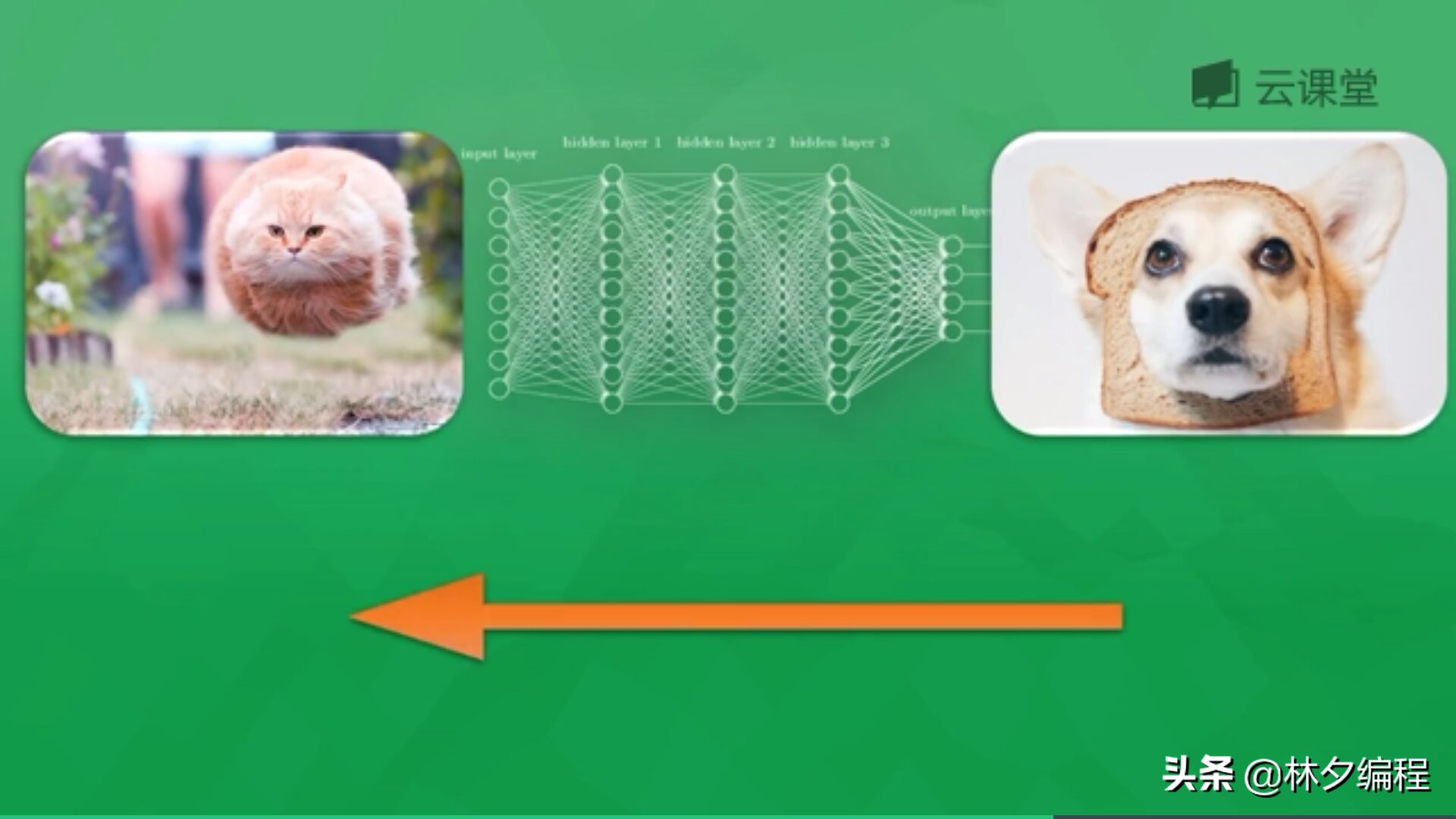 「Python人工智能」 一.神经网络入门及theano基础代码讲解