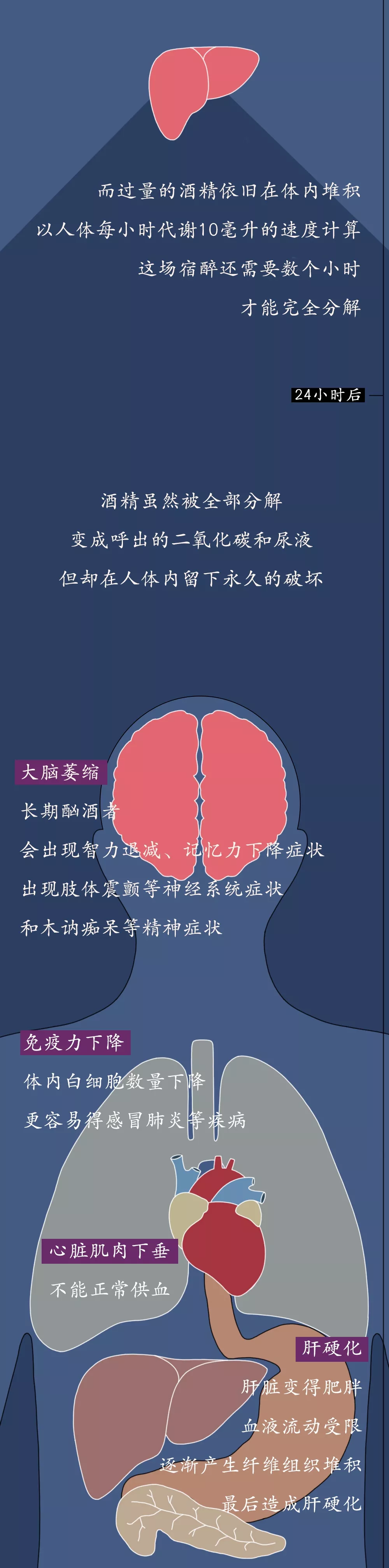 戒酒时，身体都是如何