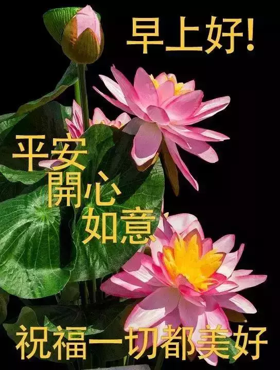 凡是有阳光的地方，就有我深深的祝福，早晨好