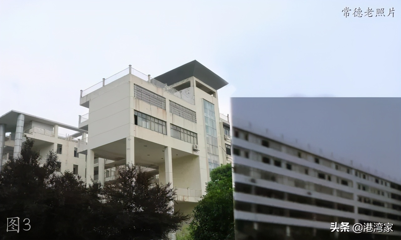 湖南文理学院老照片：T3，运动会，图书馆，林荫路，师专