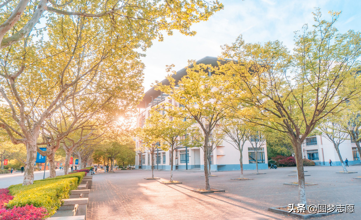 曾被称为“一本守门员”的上海大学和东华大学，现在发展怎么样？