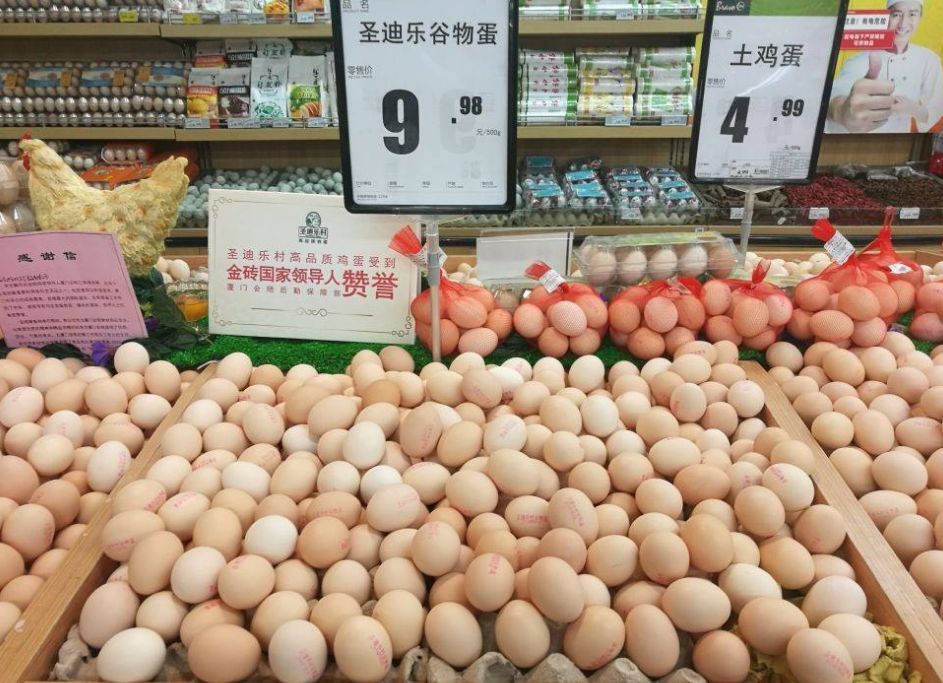 母雞下蛋需要公雞嗎,母雞下蛋需要公雞嗎?沒公雞母雞會下蛋嗎?