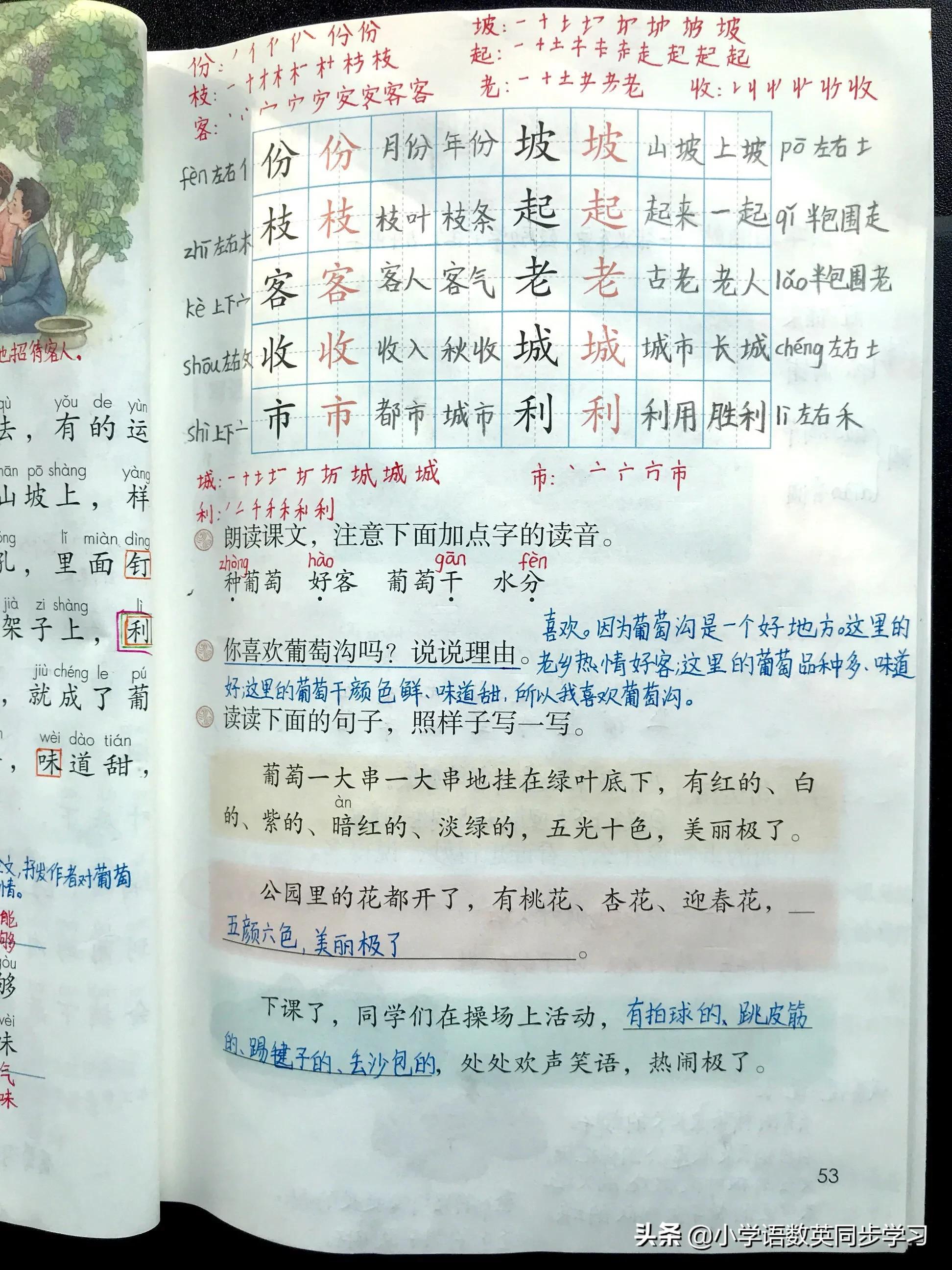 小学语文二年级上册课文11《葡萄沟》超详细教师笔记