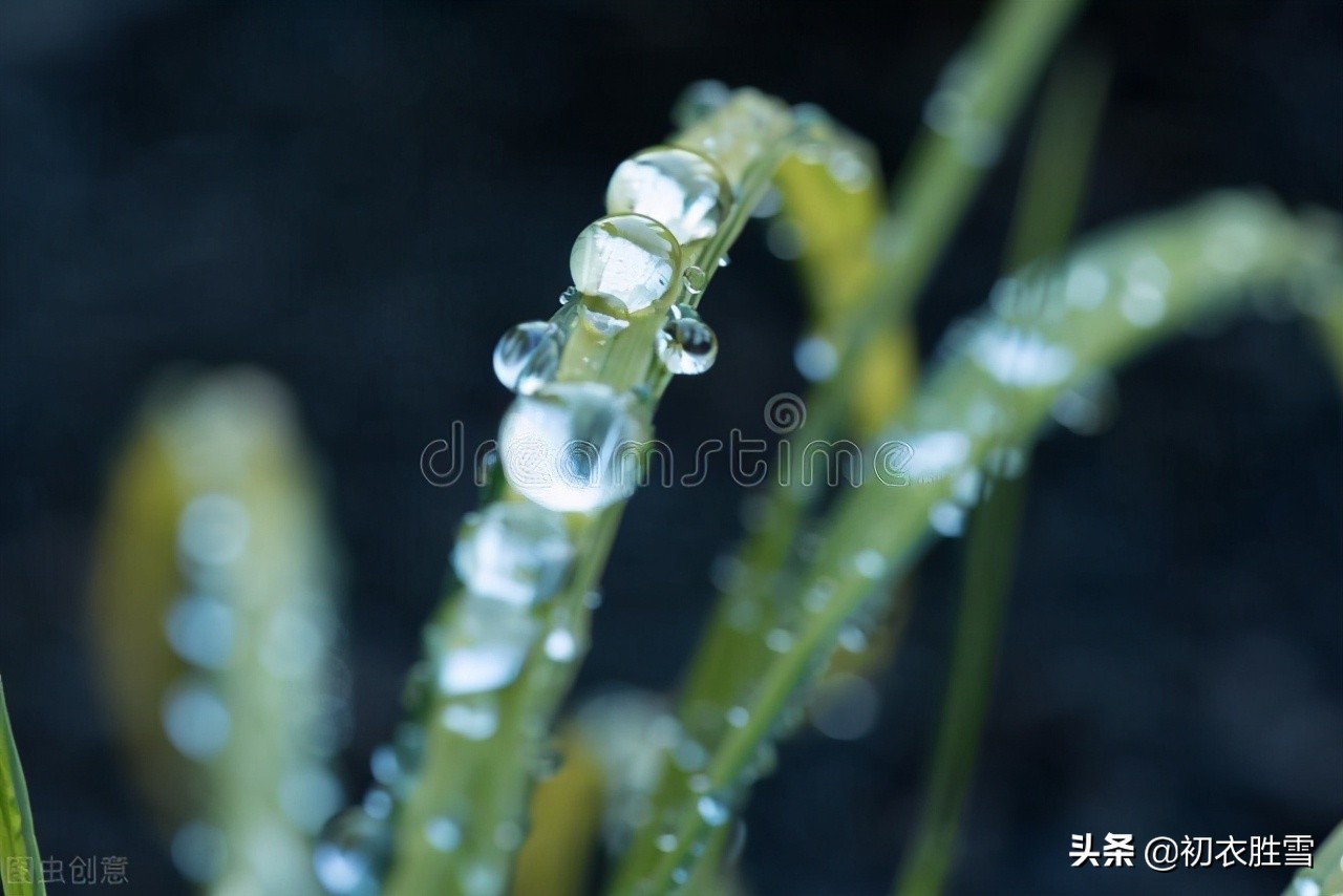 二十四节气之白露典雅古诗六首：天高白露下，露从今夜白