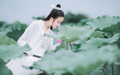 最美古文赏析五，意境淡然的十首古诗词