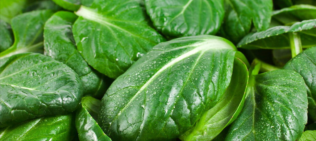 从跌倒到去世并不远，防跌倒的11个要点快告诉爸妈