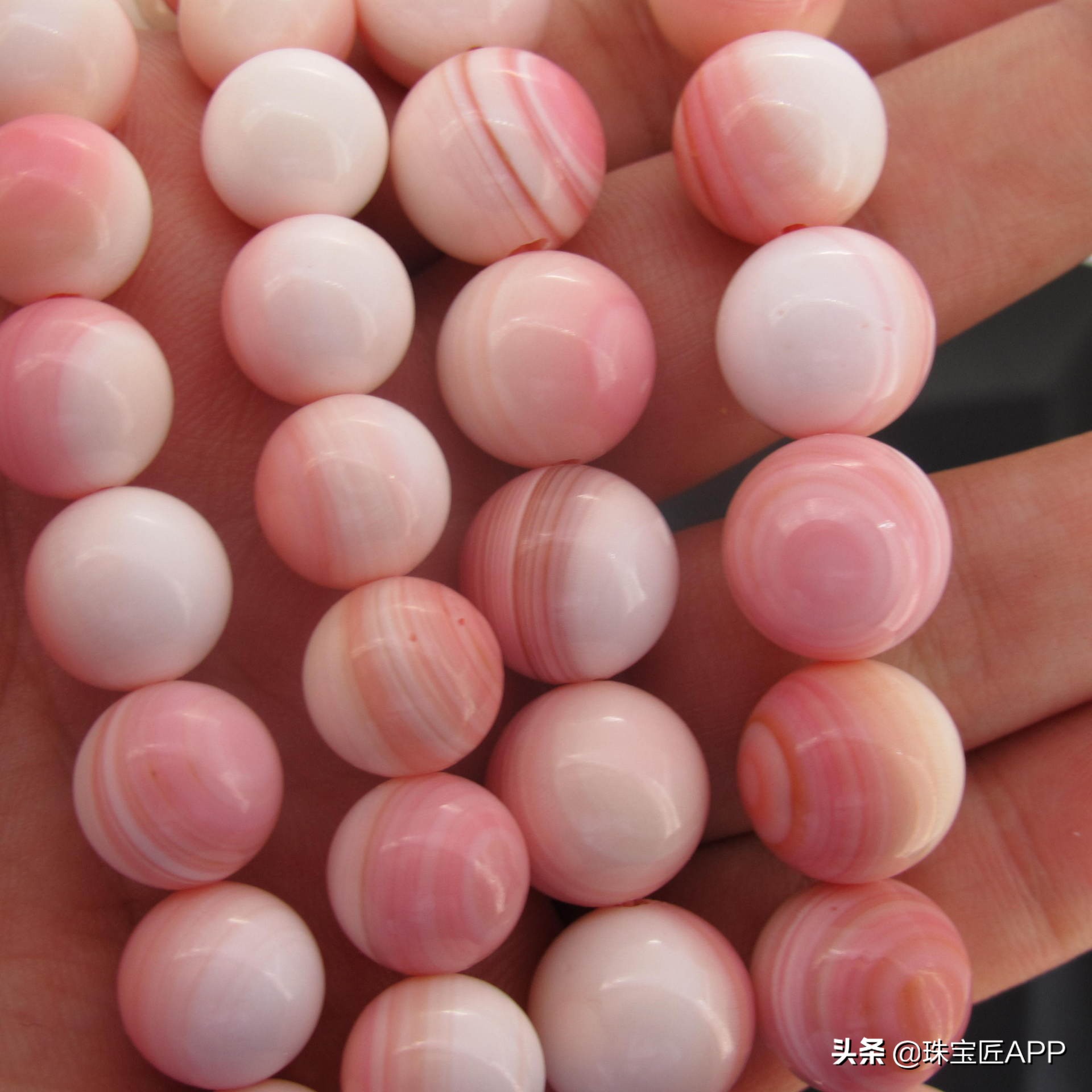 这4种能做珠宝的贝壳你都认识吗？贝壳珠宝大盘点第2弹