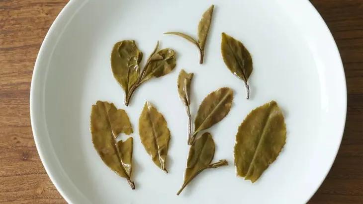 好茶葉怎么挑？跟大師學會這一招，避免買茶踩坑