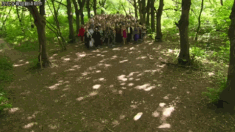 我卧底巫师聚集地，发现2020年还有那么多人在学魔法