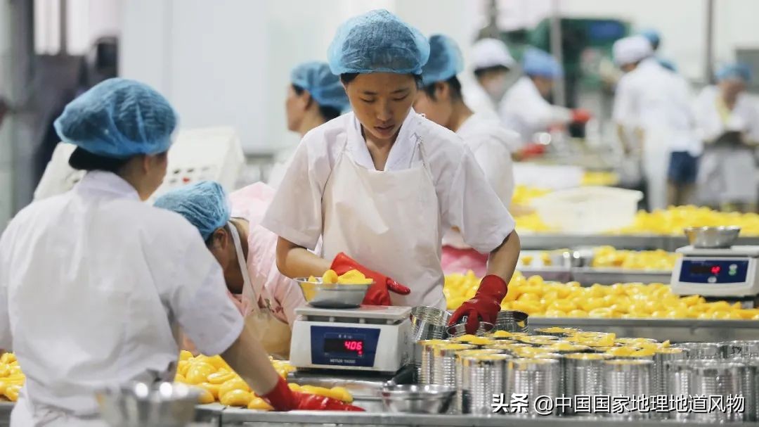 四省交界的“世界梨都”，到底有多拼？
