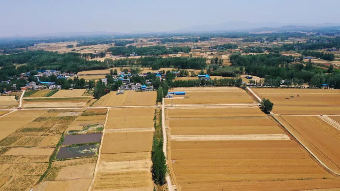 中国最难读地名揭秘：蕲春究竟怎么念？一文带你读懂生僻地名发音