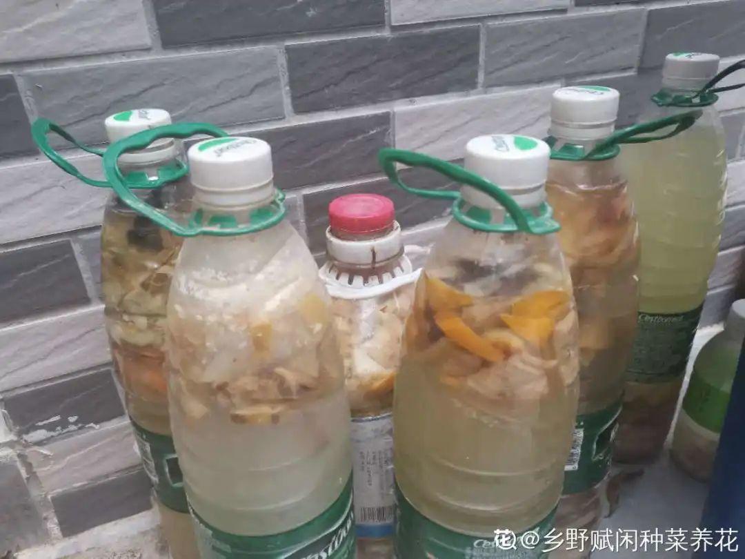 春天正施肥，氮磷钾肥别买了，自己在家就能做