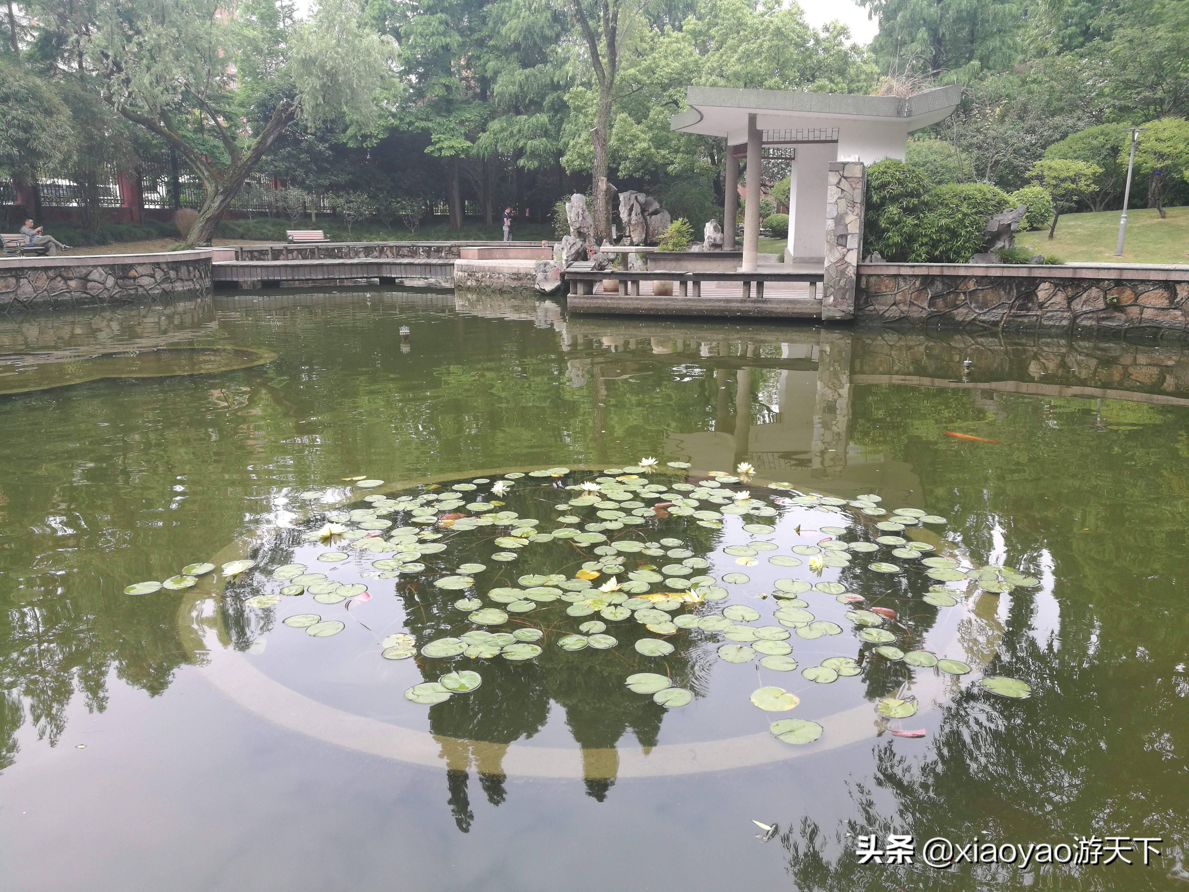 最美大学之旅——复旦大学