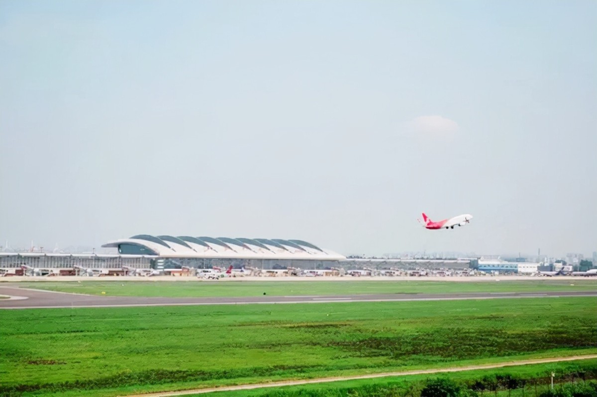 28年前，广州姑娘远嫁非洲黑人，生下两个混血宝宝，后来怎么样了