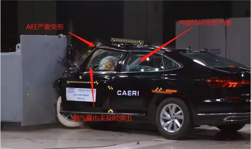 直接撞上去？开车遭遇动物该怎么办？究竟该不该紧急打方向避让？
