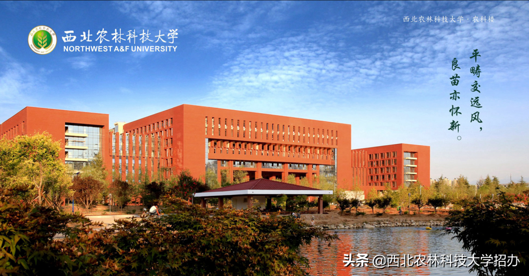 西北农林科技大学图书馆官网（曝光）