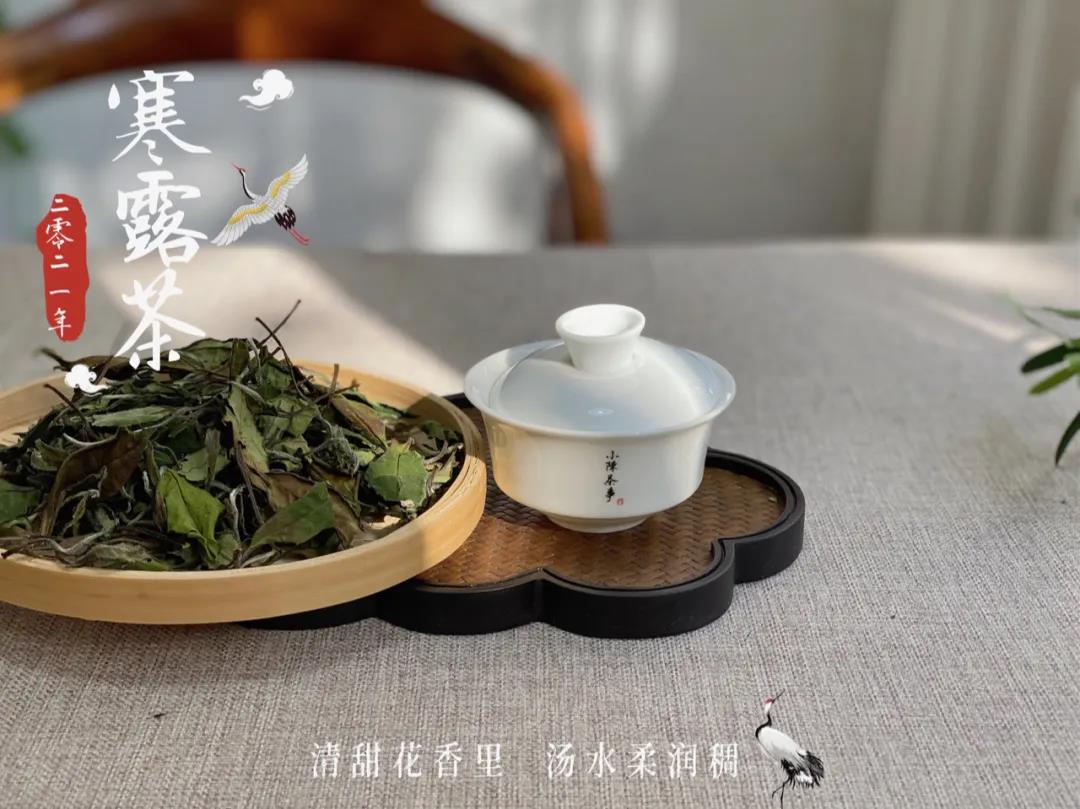 新手买白茶，到底是越贵越好，还是9.9的也有好货？该怎么选？