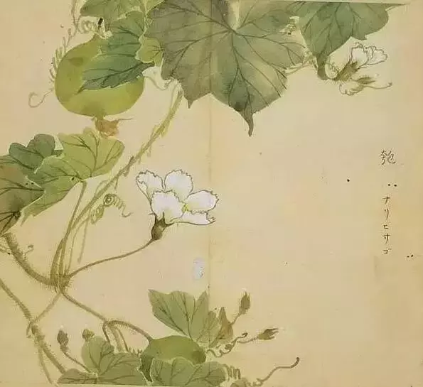 《诗经》太熟悉了吧,但《诗经》里的这些字,你认识吗?